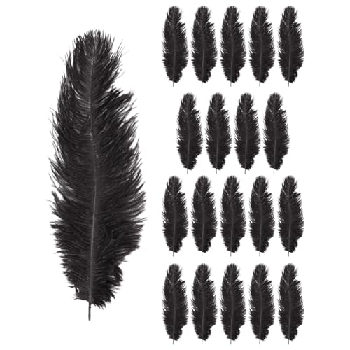 Quystetes 20x Natur Strauß 25-30cm schwarz Dekoration von Quystetes