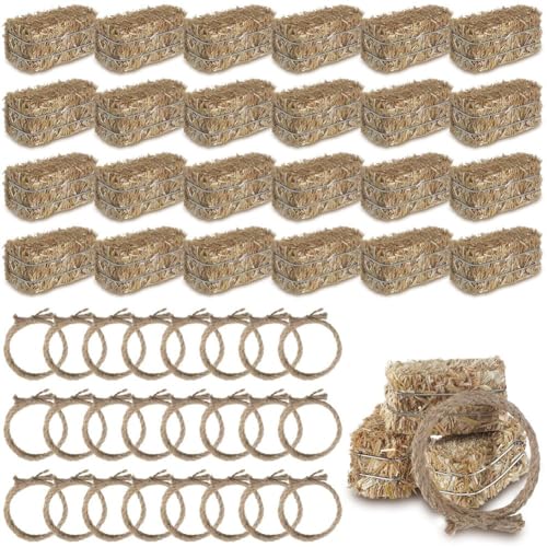 Quystetes Für Cowboy Tisch Herzstück Set-24-PCs 12 Dekorative Heuballen und 12 Verdrehte -S-Seife Western Themed Party Dekorationen A von Quystetes