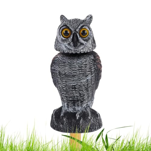 Quzente Eule Lockvogel - Eule Lockvogel zum Erschrecken von Eichhörnchen - Sammelfiguren Hawk Control Gerät mit 360° drehbarem Kopf Dekorative Statue für Terrasse Obstgarten von Quzente