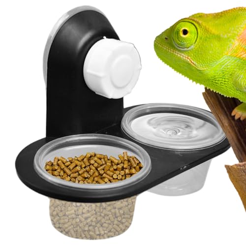 Quzente Gecko Futternapf | Wasserschale für Reptilienbecken, Spender mit 4 Bechern, Ledge Zubehör, Tablett für Vogelspinne, , , Chamäleons, Einsiedlerkrebse, Schlange von Quzente