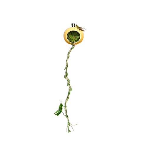 Quzente Springende Spinne Versteck | Springspinne Versteck Unterschlupf Lebensraum Unterschlupf Terrarien Zubehör für Arthropoden kleine Reptilien Tausendfüßler Geckos von Quzente