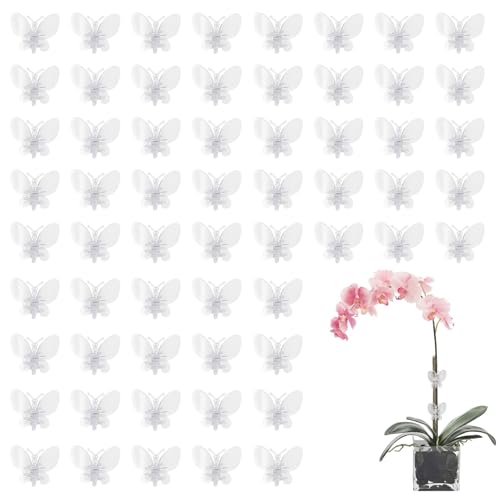 Qwrqwr 60 Stück Orchideen Pflanzen Clips Transparent Klammern Schmetterling-Form für Kletterpflanzen Kunststoff Klammern für Unterstützen Pflanze Garten Dekoration (OPC60, Schmetterlinge, 60, OPC60) Qwrqwr 60 Stück Orchideen Pflanzen Clips Transparent Klammern Schmetterling-Form für Kletterpflanzen Kunststoff Klammern für Unterstützen Pflanze Garten Dekoration (OPC60, Schmetterlinge, 60, OPC60) von Qwrqwr