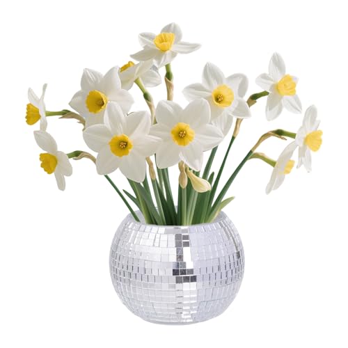 Qwrqwr Kleine Discokugel Vase Silber Disco Kugel Pflanzgefäß Mini Pflanztopf für Kakteen Kräuter und Fenster Silberne Spiegelglas-Dekorvase 3.94 * 3.15 Zoll (1, Silber) von Qwrqwr