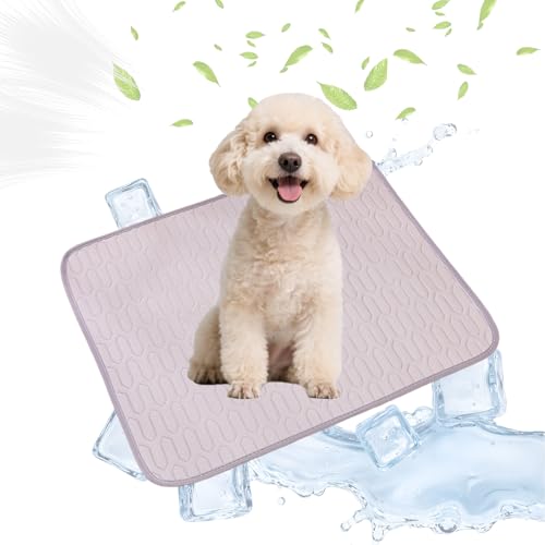 Qwrqwr Kühlmatte für Hunde, mittelgroß, waschbar, Haustier-Kühldecke für Hunde und Katzen, umweltfreundlich, ungiftig, Schlafbettmatten, kaufest, für Hartholzböden, 62 x 50 cm (Grau, M) von Qwrqwr