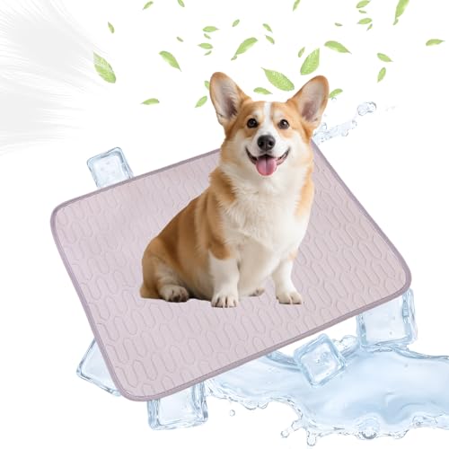 Qwrqwr Kühlmatte für Hunde, mittelgroß, waschbar, Haustier-Kühldecke für Hunde und Katzen, umweltfreundlich, ungiftig, Schlafmatte, kaufest, für Hartholzböden, 50 x 40 cm Qwrqwr Kühlmatte für Hunde, mittelgroß, waschbar, Haustier-Kühldecke für Hunde und Katzen, umweltfreundlich, ungiftig, Schlafmatte, kaufest, für Hartholzböden, 50 x 40 cm von Qwrqwr