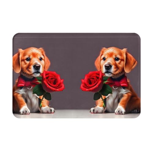 Qwvbn Gentleman-like dog Outdoor Indoor rutschfeste Bodenmatte langlebig und schmutzabweisend für Tür draußen Deck Veranda von Qwvbn