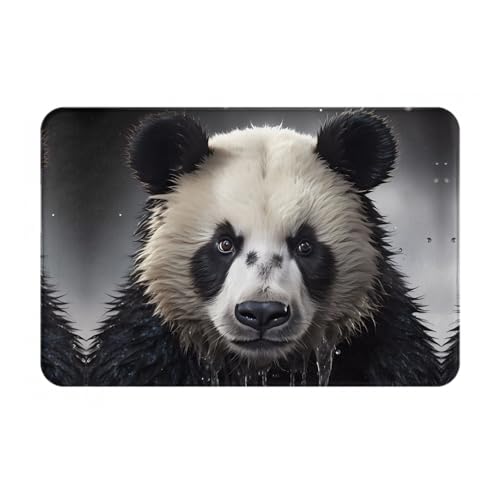 Qwvbn Rutschfeste Bodenmatte mit Panda-Motiv im Wasser, für drinnen und draußen, langlebig und schmutzabweisend, für Tür, Außenbereich, Veranda, Veranda Qwvbn Rutschfeste Bodenmatte mit Panda-Motiv im Wasser, für drinnen und draußen, langlebig und schmutzabweisend, für Tür, Außenbereich, Veranda, Veranda von Qwvbn