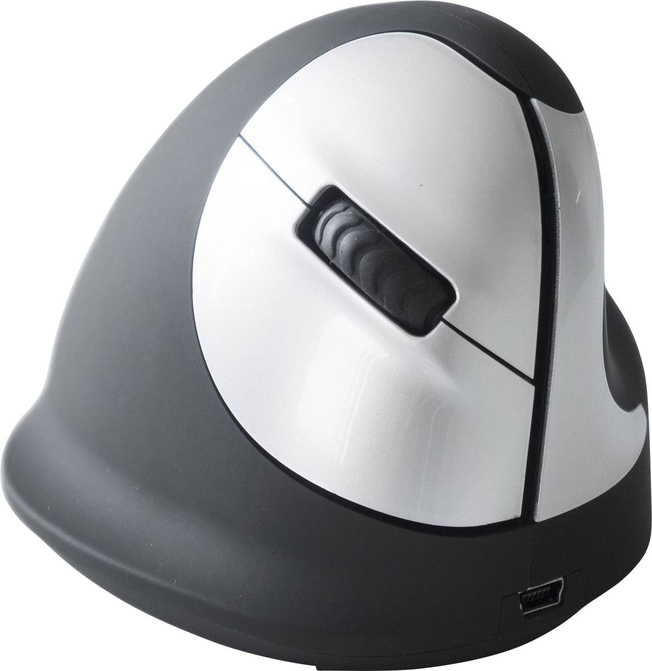B-Ware R Go Tools Ergonomische Maus Funkmaus Optisch 4 Tasten 1750 Dpi Schwarz Silber B-Ware R Go Tools Ergonomische Maus Funkmaus Optisch 4 Tasten 1750 Dpi Schwarz Silber von R-GO