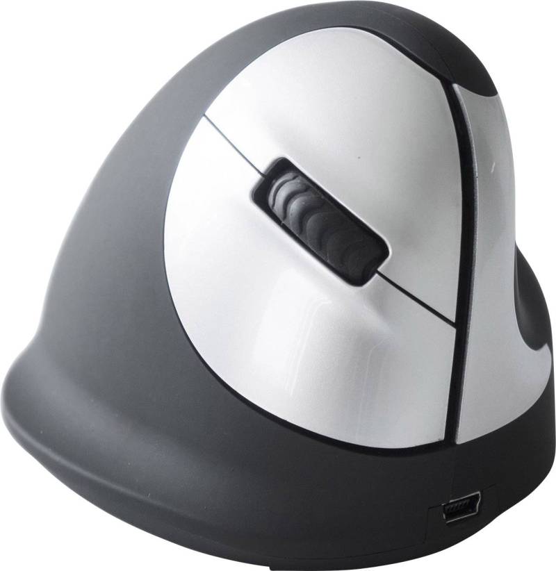 B-Ware R Go Tools Ergonomische Maus Funkmaus Optisch 4 Tasten 1750 Dpi Schwarz Silber B-Ware R Go Tools Ergonomische Maus Funkmaus Optisch 4 Tasten 1750 Dpi Schwarz Silber von R-GO