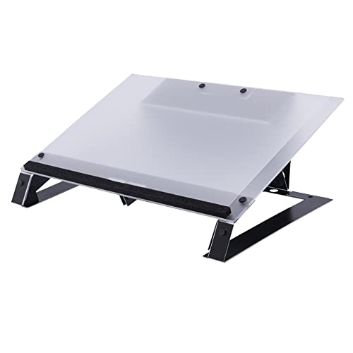 R-Go Read2Write Dokumentenhalter lesen und schreiben, Mattiertes Acrylglas von R-Go Tools