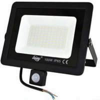 Led Gartenstrahler 100w Kaltlicht Bewegungsmelder Dämmerung von R & G