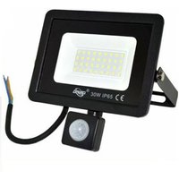 Led Gartenstrahler 30w Kaltlicht Bewegungsmelder Dämmerung von R & G