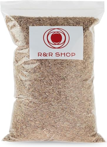 R&R SHOP – Samen für Rasen, mehrjähriges Weidelgras, schnelles und langanhaltendes Wachstum (900gr - 35mq) von R&R SHOP