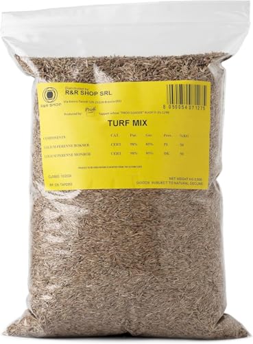 R&R SHOP – Samen für Rasen, mehrjähriges Weidelgras, schnelles und langanhaltendes Wachstum (900gr - 35mq) von R&R SHOP