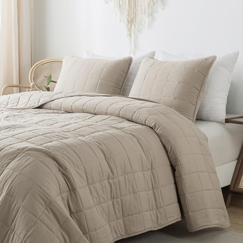 R.SHARE Tagesdecke Herbst und Winter 260×225 cm (mit 2 Kissenbezüg) Kuscheldecke Flauschig Decke, Ultra Weiche Sofaüberwurfdecke für alle Jahreszeiten, Wohndecken Steppdecke aus Mikrofaser-Beige von R.SHARE