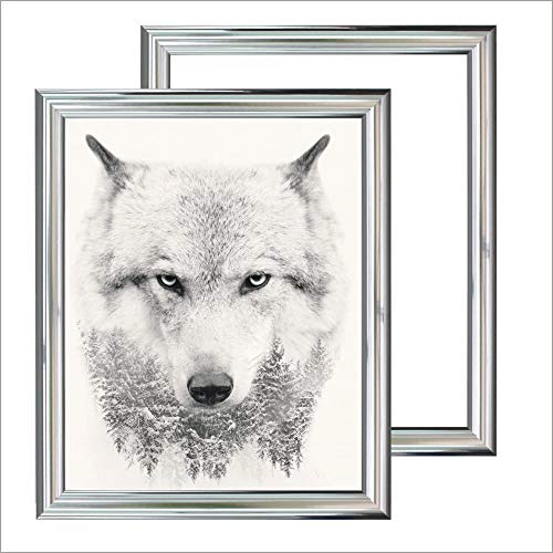 RAABEC 2 Stück Bilderrahmen, für Bilder der Größe 40x50cm, Vorteilspack mit 2 Stück! Farbe Chrome, ideal für Malen nach Zahlen Bilder z.B. von Schipper oder Ravensburger (ohne Glas) von RAABEC