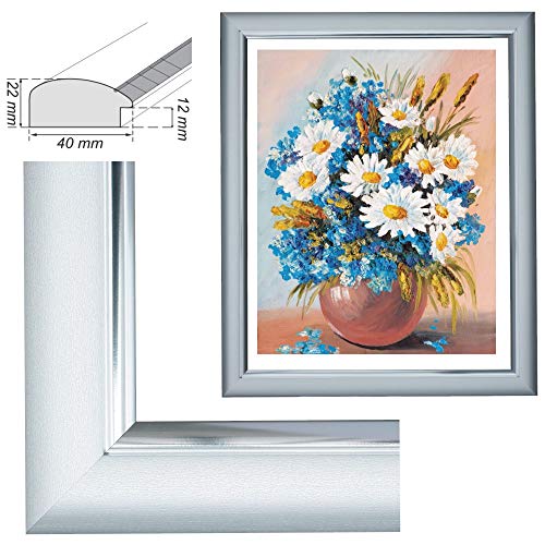 RAABEC Bilderrahmen, für Bilder der Größe 40x50cm, Farbe Silber, ideal für Malen nach Zahlen z.B. von Schipper oder Ravensburger - ohne Glas RAABEC Bilderrahmen, für Bilder der Größe 40x50cm, Farbe Silber, ideal für Malen nach Zahlen z.B. von Schipper oder Ravensburger - ohne Glas von RAABEC