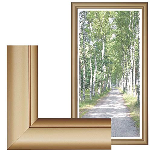 RAABEC Bilderrahmen, für Bilder der Größe 40x80 cm, Farbe gold matt, ideal für Malen nach Zahlen Bilder von Schipper oder Ravensburger (ohne Glas) von RAABEC