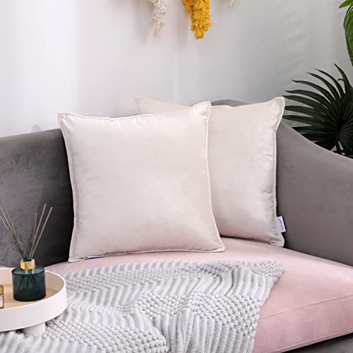 RACE LEAF Crushed Samt Kissenbezüge 40cm x 40cm/Square Luxuriöse Wurf Kissenbezüge für Sofa Schlafzimmer mit unsichtbarem Reißverschluss 16x16 Zoll beige Sets von Zwei von RACE LEAF