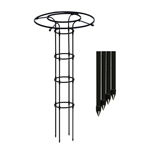 RADAAB Rankhilfe Obelisk Ranksäule für Kletterpflanzen im Freien, 90cm 120cm 150cm 180cm 210cm Rostfreie Rankobelisk, Rankgitter für Topfpflanzen Rose Rebe Jasmin (Size : 210cm/6.9ft) von RADAAB