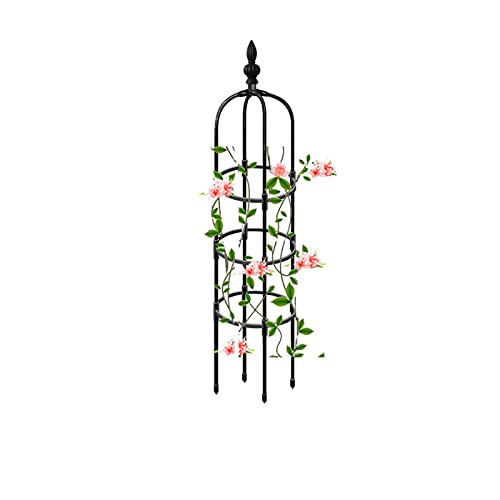 Rankhilfe Obelisk Blumenspalier 90cm 120cm 150cm 180cm 210cm hoch, Ranksäule für Pflanzen Kletterpflanzen Reben Blume Rosen, Metall Rankobelisk, freistehend Rosenturm (Size : 11"/28cm Dia. x 47.3"/12 von RADAAB