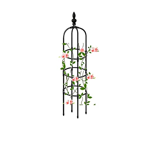 Rankhilfe Obelisk Blumenspalier 90cm 120cm 150cm 180cm 210cm hoch, Ranksäule für Pflanzen Kletterpflanzen Reben Blume Rosen, Metall Rankobelisk, freistehend Rosenturm (Size : 12.6"/32cm Dia. x 82.7"/ von RADAAB