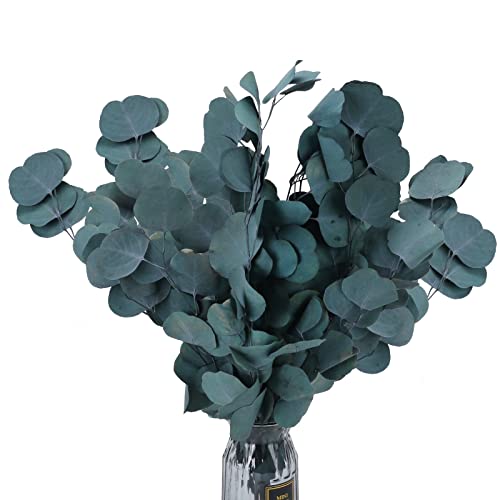 RADCANE Künstlich Eukalyptus Getrocknete Blumen Trockenblumen Eukalyptus Zweige Deko für Draussen Hochzeit Garten Haus Büro Party Vase Dekoration 50cm Grau Grün von RADCANE