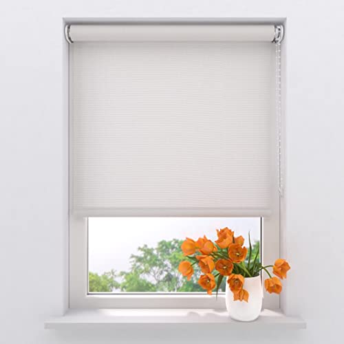 Radeco® Lichtdurchlässiges Rollo 200 x 275 cm helles weiß, Größen von 40 bis 240 Breite, ohne Bohren möglich, Rollo wandmontage, Rollo 200 cm breit, Fenster rollos für innen, rollos für Fenster von RADECO