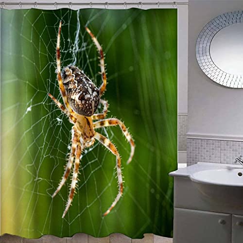 RADEMA Duschvorhang 120x200cm Spinnen Duschvorhang Antischimmel Wasserdicht Tiere Shower Curtains Geeignet für Badezimmer Badewanne mit 8 Kunststoffhaken von RADEMA