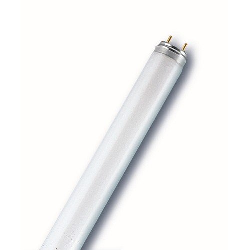 RADIUM Leuchtstofflampe SPECTRALUX PLUS NL-T8 30W, 830, G13, 895mm EEK: A von RADIUM