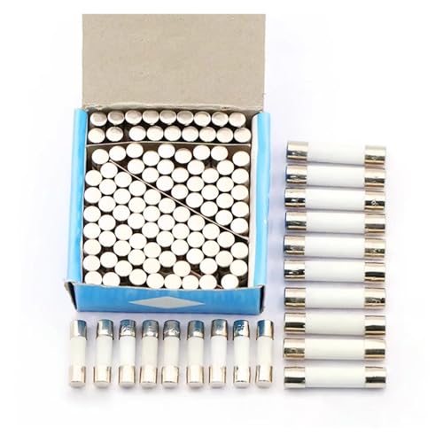 Elektrische Keramik-Sicherungen, Keramik-Haushalts-Netzrohrsicherung 250 V, 10er-Pack, mehrere Größen (5 x 20 mm/6 x 30 mm), 1 A – 30 A(6x30 1a) von RAGOPILEN