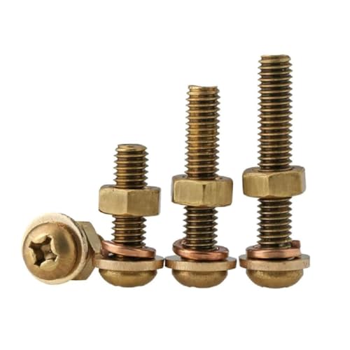Halbrundkopf-Schrauben, Maschinenschrauben Messing Kreuzschlitz Rundkopf M3 M4 M5 M6 M8 2er-Pack(M4x20mm) von RAGOPILEN