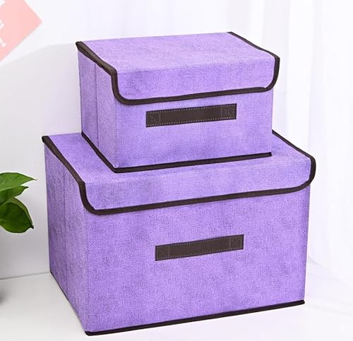 RAGOPILEN Aufbewahrungsbox, 2er-Pack for Kleiderschrank und Schlafzimmer von RAGOPILEN