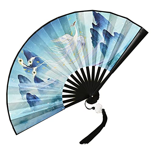 RAGOPILEN Faltbarer Handfächer, Handlicher Faltfächer mit Quaste, Mehrfarbig(Blue) von RAGOPILEN