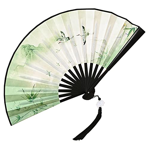 RAGOPILEN Faltbarer Handfächer, Handlicher Faltfächer mit Quaste, Mehrfarbig(Green) von RAGOPILEN