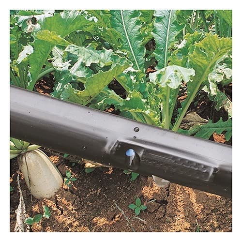 RAGOPILEN Mikrobewässerungsschlauch, 16mm Tropfbewässerungsschlauch for Obst-Tee-Gewächshaus und Garten 5m-100m(Space 150mm,100m(2RollsX50m)) von RAGOPILEN