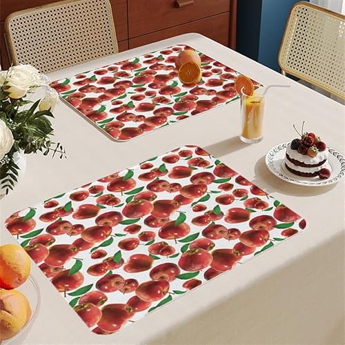 RAGOPILEN Waschbare Tischsets, Obst-PVC-Tischsets, 6er-Pack, 30,5 x 45,7 cm von RAGOPILEN