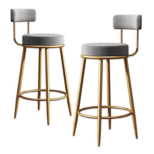 Runder Barhocker, Barhocker in Thekenhöhe mit Rückenlehne, Mehrfarbig, mehrere Größen, 2er-Pack, 136 kg(Grey,Sitting Height: 65cm) von RAGOPILEN