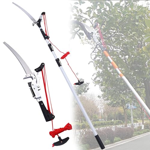 Stangensäge, 2 in 1 Teleskop-Hochentaster-Gartenschere, Aluminiumlegierung, mehrere Größen(6m/19.6ft,6m/19.6ft) von RAGOPILEN