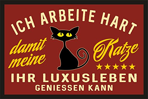 RAHMENLOS Fußmatte Türmatte Schmutzfangmatte für den Katzenliebhaber: Ich arbeite hart für das Luxusleben meiner Katze 225 von RAHMENLOS