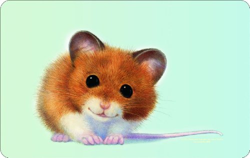 Rahmenlos® Frühstücksbrettchen - Hamster, Hamsterchen- küchen- und lebensmittelgerechtes Resopal 23,5 x 14,5 cm von RAHMENLOS