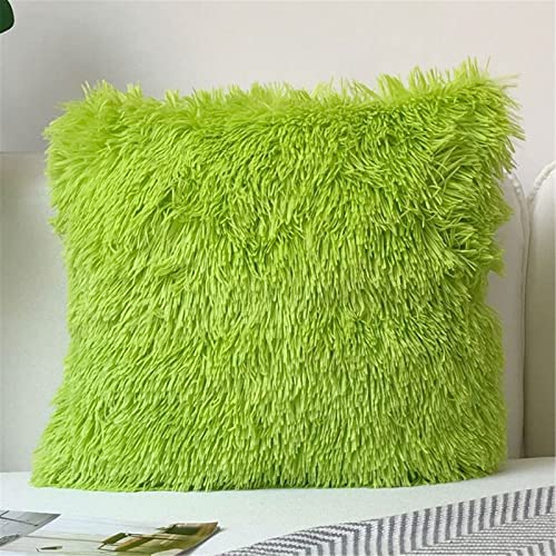 RAILONCH 2Pcs Weicher Kissenbezüge Flauschig Deko Kissen Cuddly Zierkissen Schaffell Lammfell Kunstfell Langhaar Kissenbezug, Zierkissenbezüge für Sofa Büro (Grün) von RAILONCH