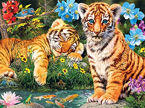 RAILONCH Diamant Painting Bilder, 5D DIY Diamond Stickerei Tiger, Tier Voller Crystal Strass Stickerei Malerei für Home Wanddekoration (40x30cm) von RAILONCH