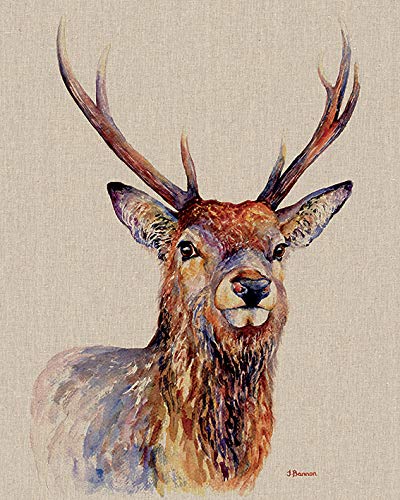 Jane Bannon Proudlock 40 x 50cm Canvas Print Leinwanddruck, Mehrfarbig, 40 x 50 cm von Jane Bannon