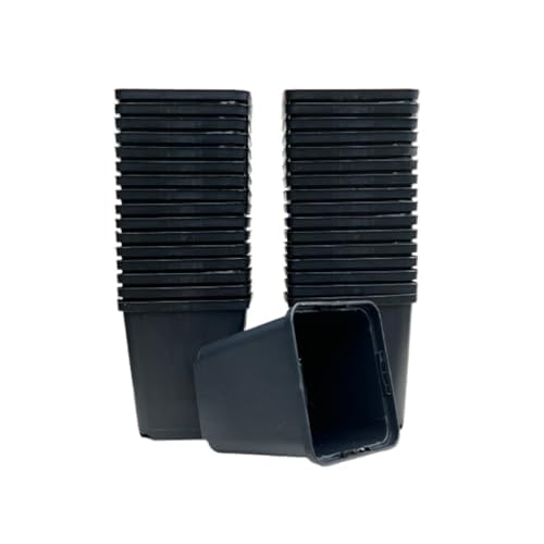 spiceboxx 50x 9x9x9,5cm Profi Anzuchttöpfe eckig Vierecktopf Pflanztöpfe Blumentöpfe klein Anzucht Vierkanttöpfe Tomatentopf Rosentopf Kunststoff Blumentopf Plastik schwarz von spiceboxx