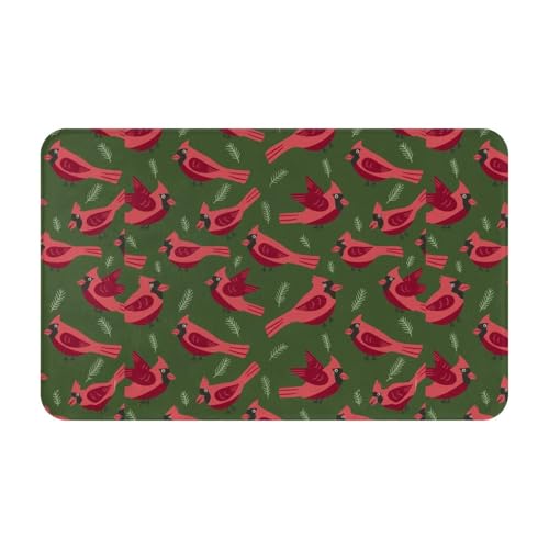 RAKFURF Teppich, maschinenwaschbar, mit rutschfester Unterseite, Motiv: Vogel, rote Feder, Vintage-Stil, Heimdekoration, Bodendekoration, Teppichmatte für Wohnzimmer, Schlafzimmer, Badezimmer, Küche RAKFURF Teppich, maschinenwaschbar, mit rutschfester Unterseite, Motiv: Vogel, rote Feder, Vintage-Stil, Heimdekoration, Bodendekoration, Teppichmatte für Wohnzimmer, Schlafzimmer, Badezimmer, Küche von RAKFURF