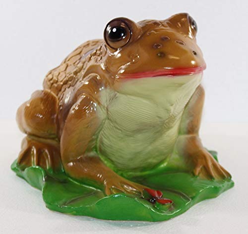 RAKSO Deko Garten Figur Gartenfigur Tierfigur Teichfigur Kröte Frosch groß auf Blatt aus Kunststoff Länge 28 cm von RAKSO