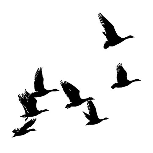 RALIYATX Clear Stamp, Fly Bird Clear Stamps for Card Making Scrapbooking Background Silicone Seal Stamps for Embossing Album - Clear von RALIYATX