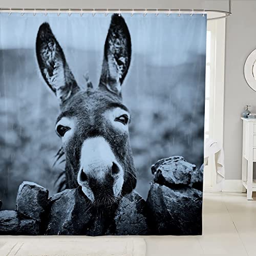 Duschvorhang 180x180 Esel, Duschvorhänge Antischimmel 3D Lustig, Shower Curtains Wasserdicht Waschbar, Duschrollo für Badewanne Dusche Badezimmer, mit 12 Ringe von RAMOTE