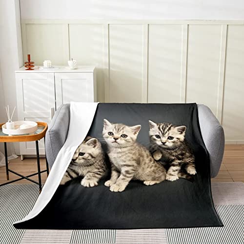 Kuscheldecke 150x200 Süße Katze, 3D Gedruckte Flanell Fleecedecke Katze Weiche und Warme Wohndecke, Decke als Sofadecke, Tagesdecke Wolldecke für Kinder Erwachsene von RAMOTE